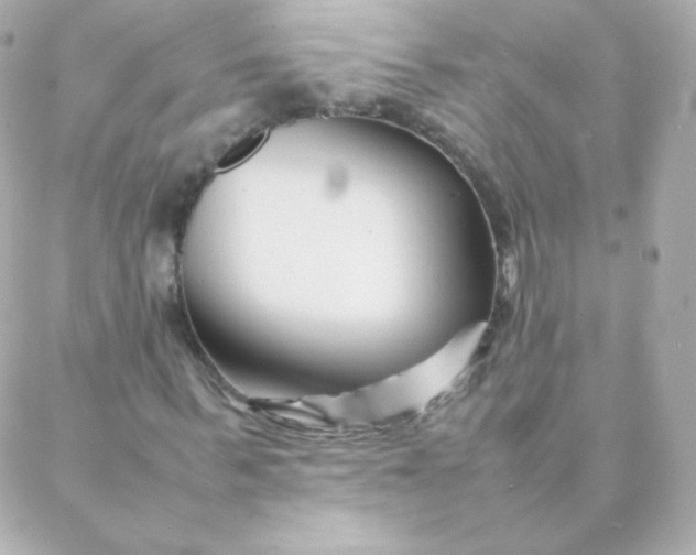 X0000088130963200705291329