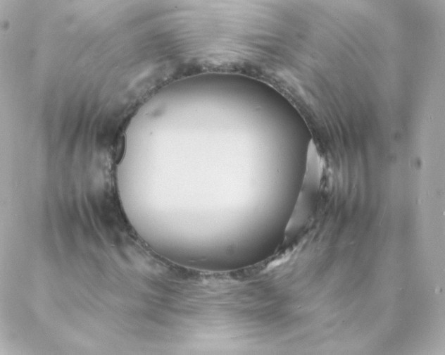 X0000088130964200705291329