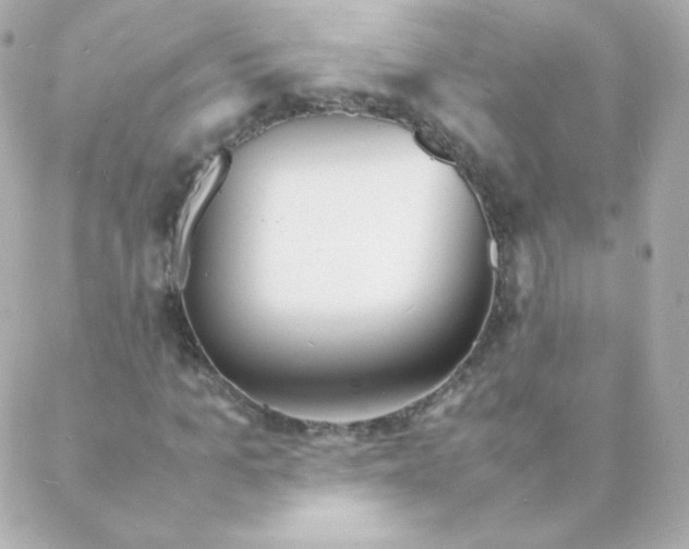 X0000088130965200705291329