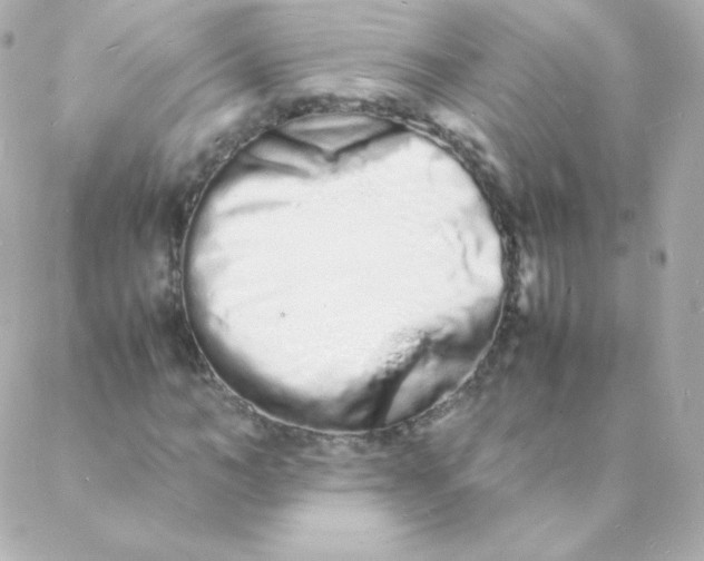 X0000088130966200705291329