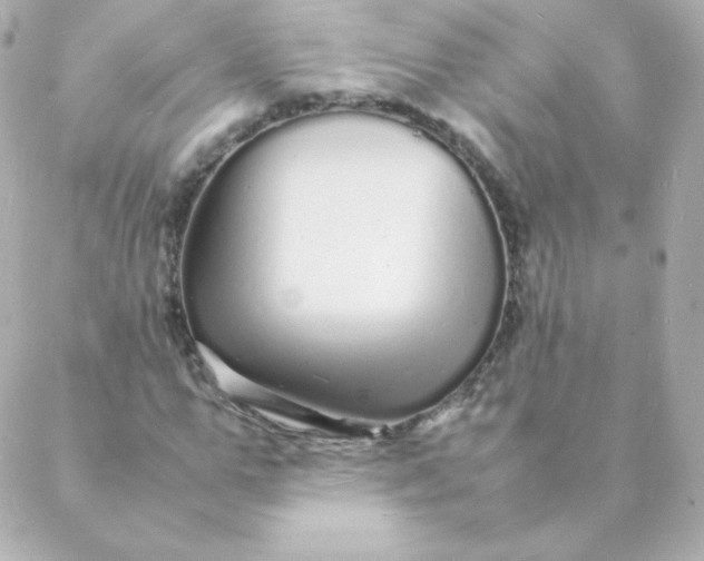 X0000088130967200705291329