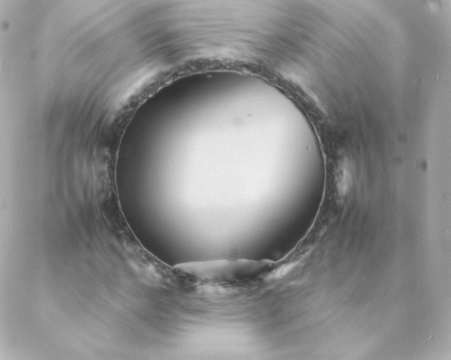 X0000088130968200705291329