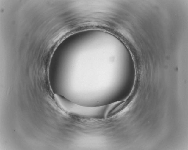 X0000088130969200705291329