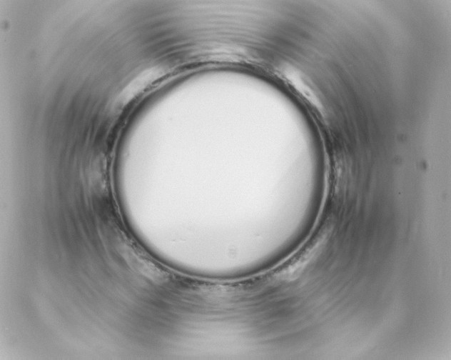 X0000088130970200705291329