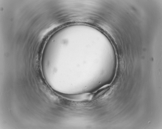 X0000088130971200705291329