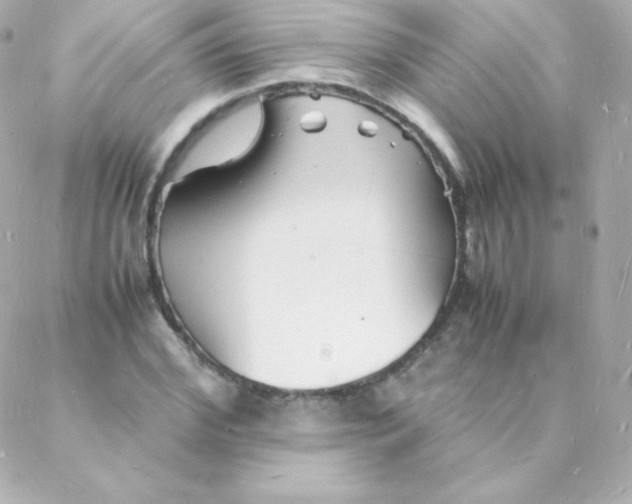 X0000088130972200705291329