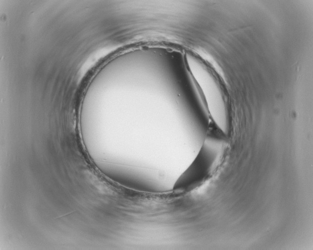 X0000088130973200705291329