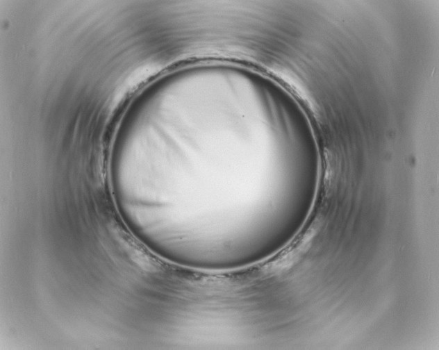 X0000088130974200705291329