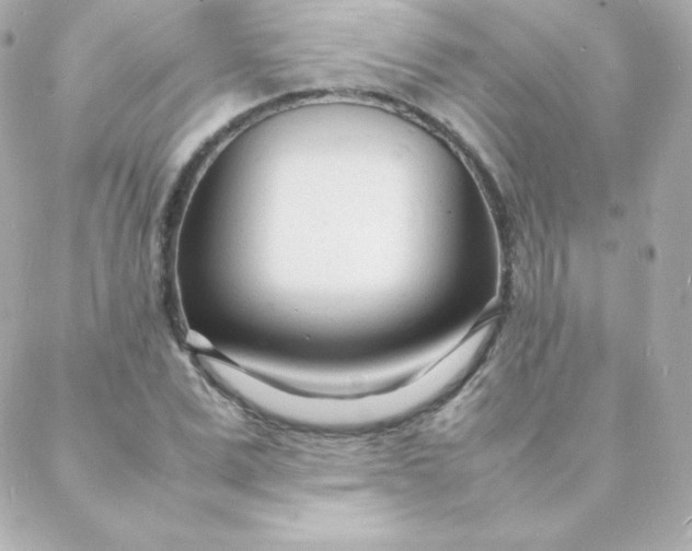 X0000088130975200705291329