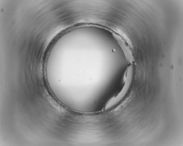 X0000088130976200705291329