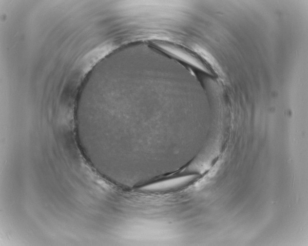 X0000088130977200705291329