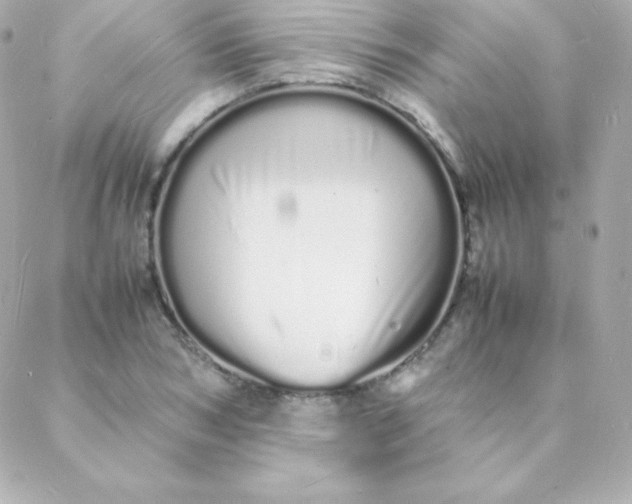 X0000088130978200705291329