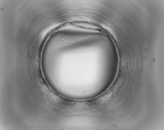 X0000088130979200705291329