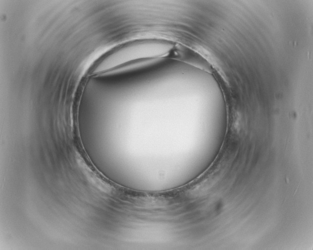 X0000088130980200705291329