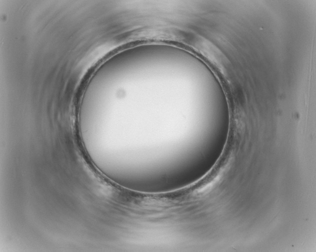 X0000088130981200705291328