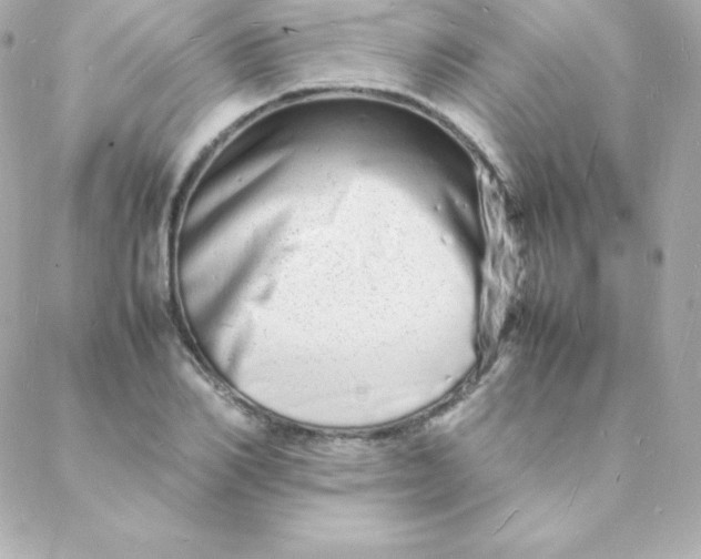 X0000088130982200705291328