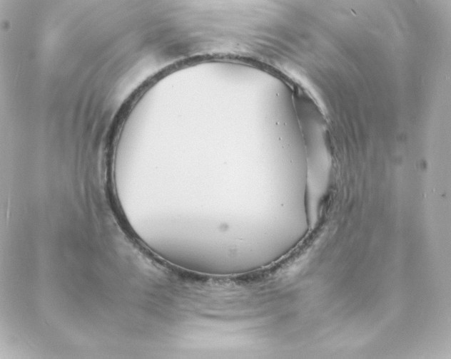 X0000088130983200705291328