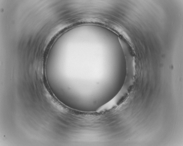 X0000088130984200705291328