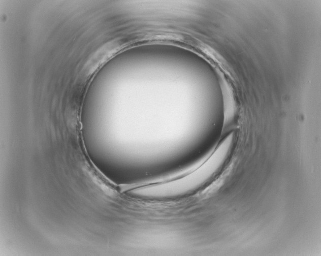 X0000088130985200705291328