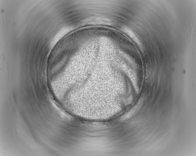 X0000088130986200705291328