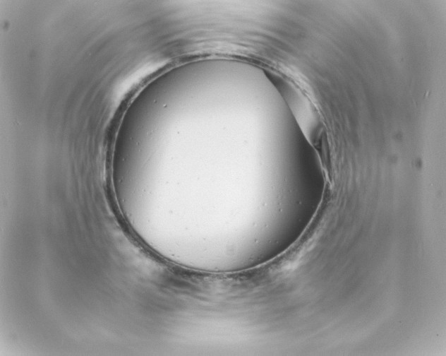 X0000088130987200705291328