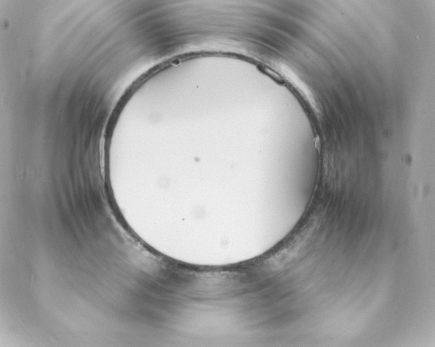 X0000088130988200705291328