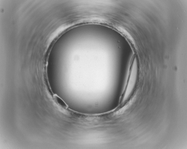 X0000088130989200705291328