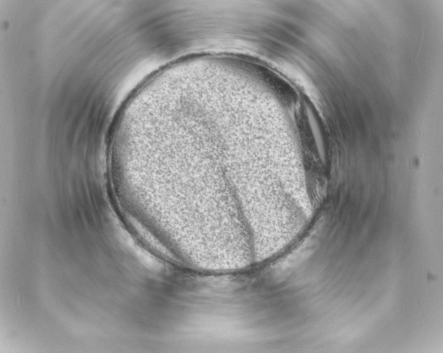 X0000088130990200705291328