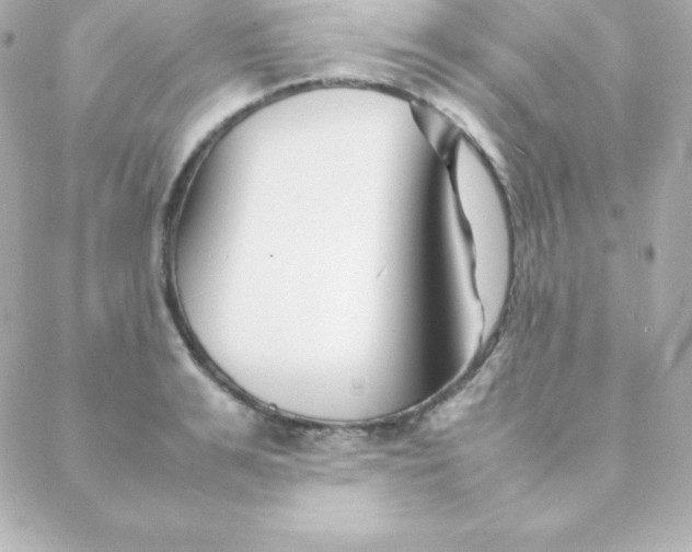 X0000088130991200705291328