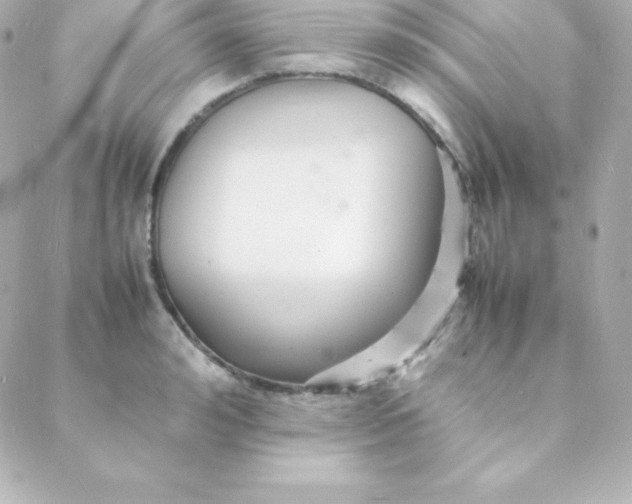 X0000088130992200705291328