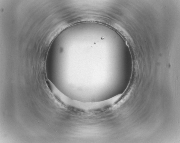 X0000088130993200705291328