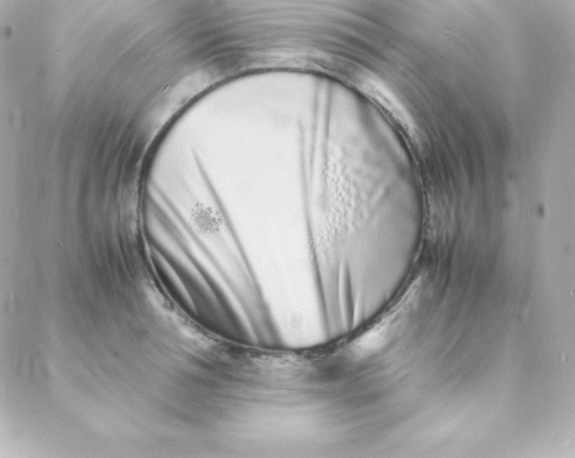 X0000088130994200705291328