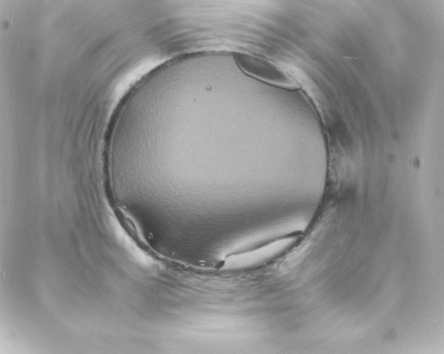 X0000088130995200705291328