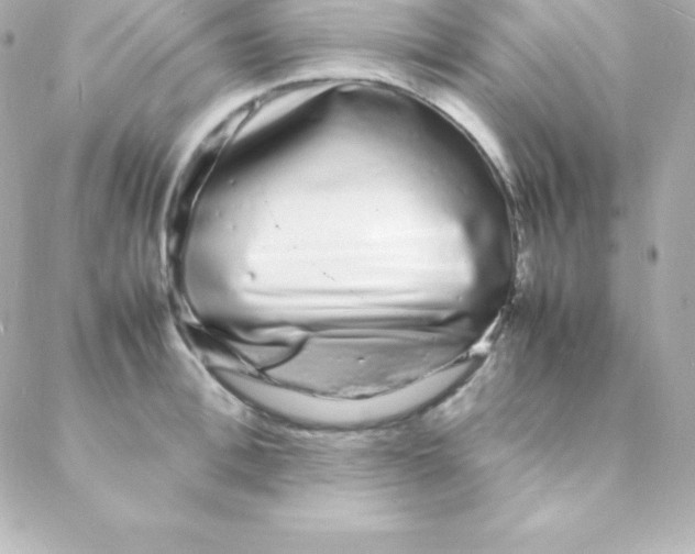 X0000088130996200705291328