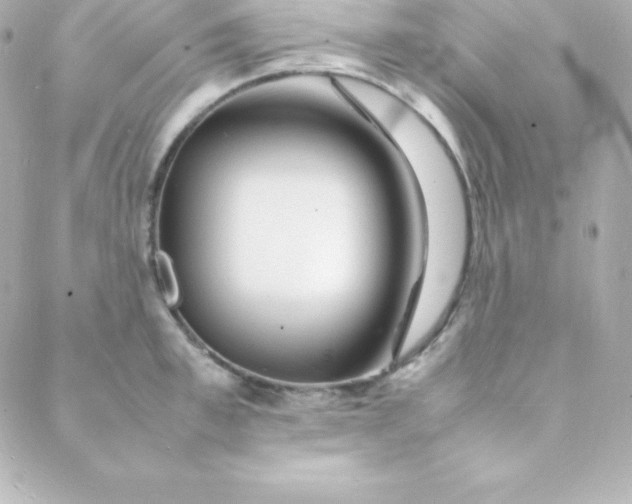 X0000088130997200705291328