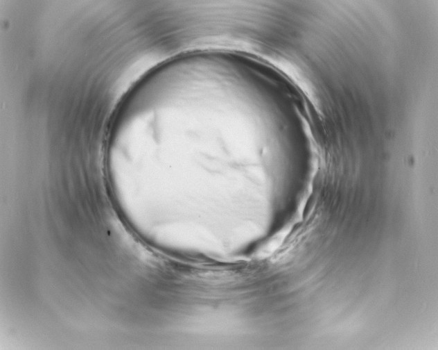 X0000088130998200705291328