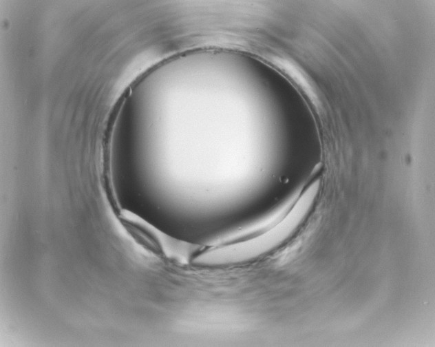 X0000088130999200705291328