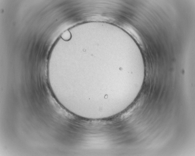 X0000088131000200705291328