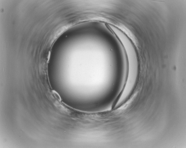 X0000088131001200705291328