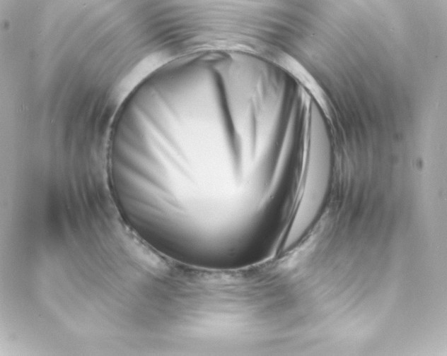 X0000088131002200705291328