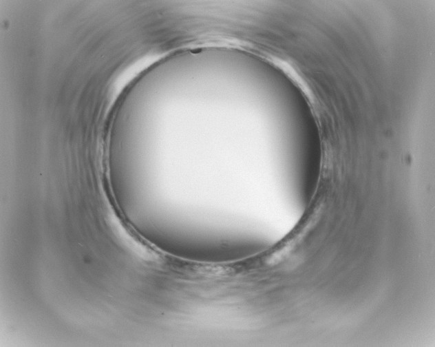 X0000088131003200705291328