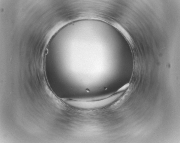 X0000088131004200705291328