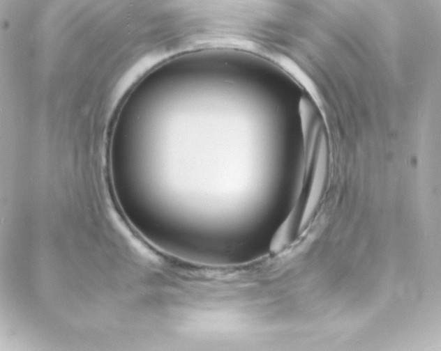 X0000088131005200705291328