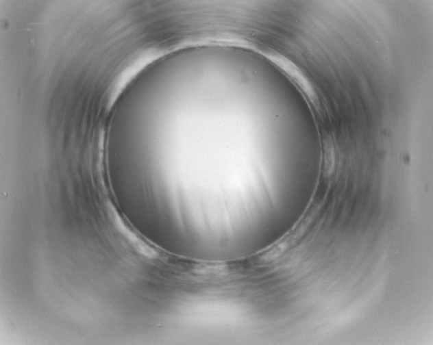 X0000088131006200705291328