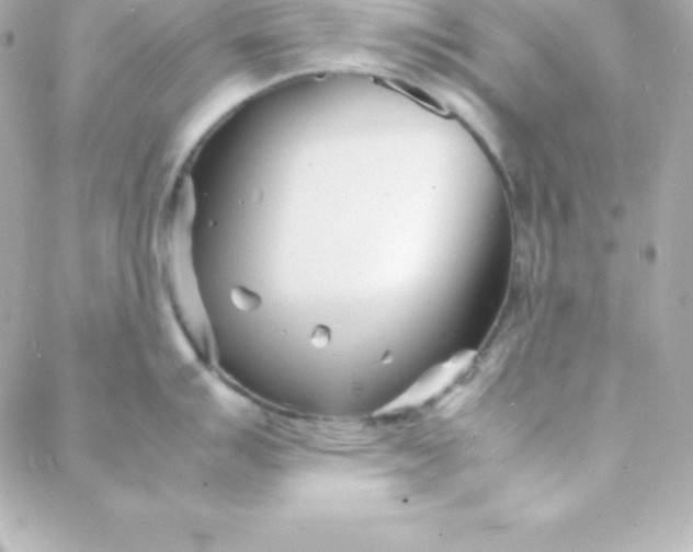 X0000088131007200705291328