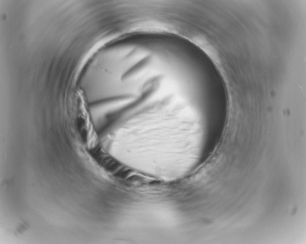 X0000088131008200705291328