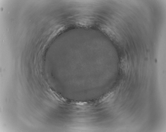 X0000088131009200705291327