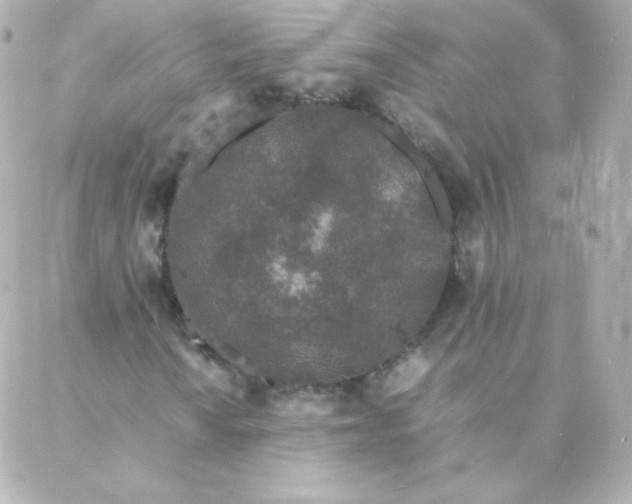 X0000088131010200705291327