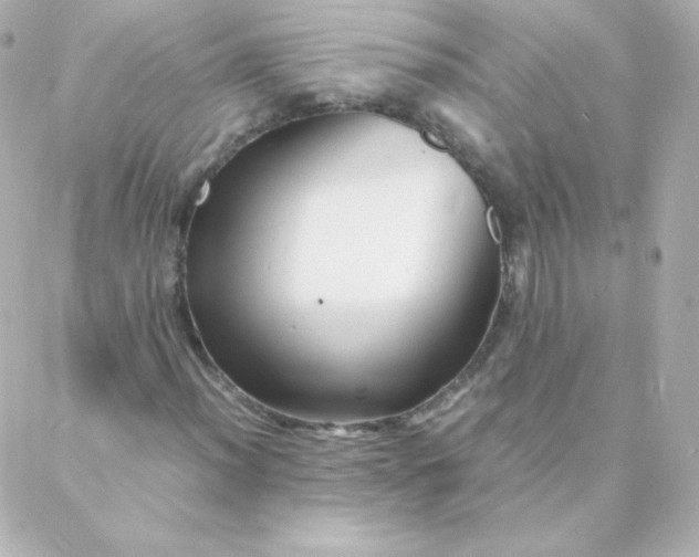 X0000088131012200705291327