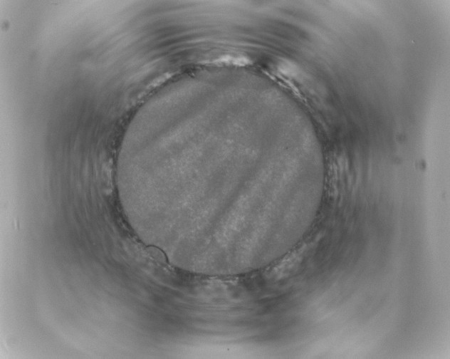 X0000088131013200705291327